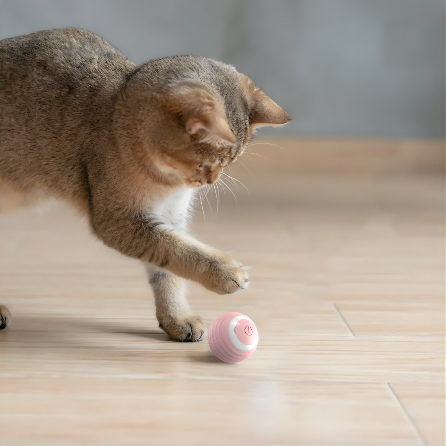 Pelota Interactiva para Gatos