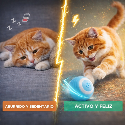 Pelota Interactiva para Gatos